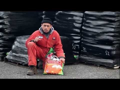 how to fertilize with chicken manure