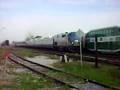 GO 616/530 going while VIA 919/920 coming