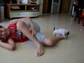 癲人與傻八哥