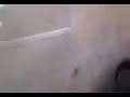 un dia sin profesor cobat 01