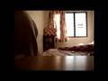 Slingshot video: Slingshots of the World