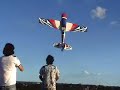 aeromodelo extra 300