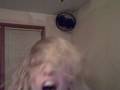 videos de Picture 3473.avi