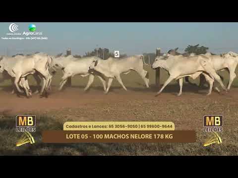 507� LEIL�O VIRTUAL MB LEIL�ES