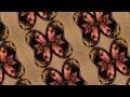Assistir ao v�deo