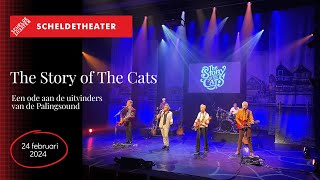 The Story of The Cats-YouTube