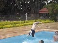 Ginastica Aquatica