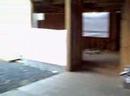 2533 Graceland March 15