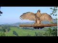 ARDESEN RIZE TÜRKİYE