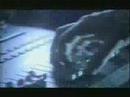 Bjork - Pluto LIve