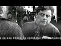 PINTO CINEMATIC