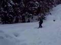 Half A Back Flip