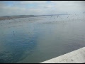 california pier