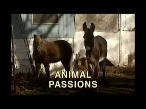 Opie & Anthony: Zoophiles
