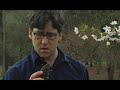 The Arborist