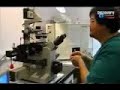 Sperm injection