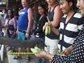 การแสดงช้างแสนรู้ปั่นจักรยานที่พัทยา..