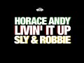 documentary of the making of a traditional album in harry j studio with sly and robbie with some of the greatest living reggae artist, shot in kingston jamaica