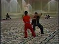 Brendan Lai (???) (1942-2002) - Mantis (?????) applications