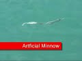New 2008 Saltwater Fishing Lure and Freshwater Fishing Lure