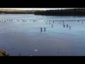 videos de Bryn Bach Parc Frozen Lake