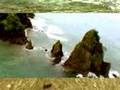 Ver Video