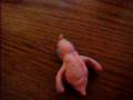 My clay Claydol and Baltoy