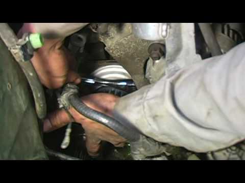 Timing Belt & Water Pump Replacement : Install New Water Pump