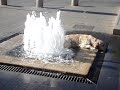 chien-fontaine-terrible.html