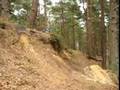 Step