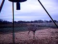Featured Video