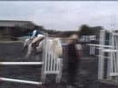 Showjumping at Pachesham 3ft 6