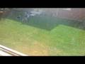 videos de kidz