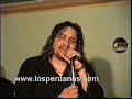 sonido elegante los destellos mix