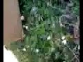 ME SHOOTING MY CROSMAN STINGER R34 PART 2 ME SHOOTING MY CROSMAN STINGER R34 PART 2