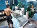 roller head machine for plates