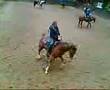 Arc Genuine Oak spinning Joke Overbeek