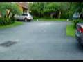 videos de Dogbook Movie: Playing Fetch