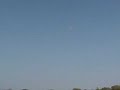 RC Seagull Laser 200 with OS Max 1.60FX RC Seagull Laser 200 with OS Max 1.60FX