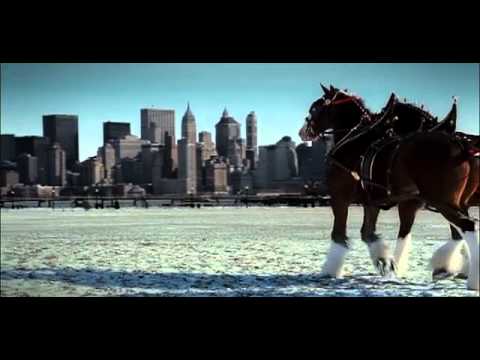 WATCH THESE RIGHT NOW! Every Budweiser Clydesdale Commercial Since 1996