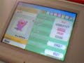 Pokemon Pearl Shiny Pokemon/Webcam test