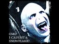 A Tribute to Voldermort