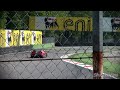 Click here to watch this video [Shmeebite] Ferrari 599XX EVO Driver Celebrates
