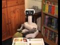 watch more of rob the robot's reviews at: gotgame.com rob the robot reviews the unusual rpg called faxanadu. daggers and wingboots; this sounds like some crazy shit! episode: 11 note: video quality will depend on your computers specs. if you don't have the latest flash player installed then the quality will be poor.