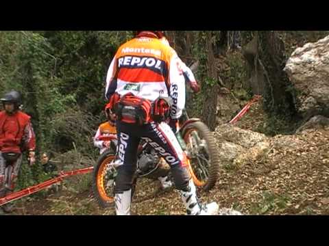 Ver video