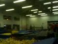MOV00940 MOV00940