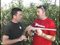 this video is available in a higher quality version at warpig.com - click 