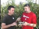 PigTV - Paintball Television Tech Extra * Invert Mini