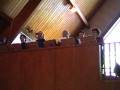 videos de St. Theodore of Canterbury, Toronto
