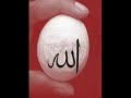 VIELE VERSCHIEDENE SACHEN WO DER NAME ALLAH (gott) VORKOMMT VIELE VERSCHIEDENE SACHEN WO DER NAME ALLAH (gott) VORKOMMT